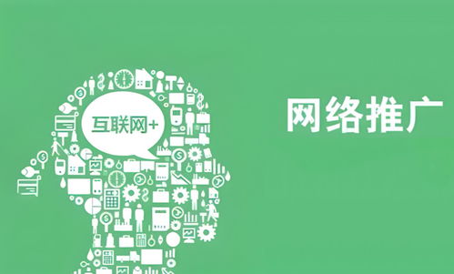 互联网推广中的网络文化经营 策略与实践